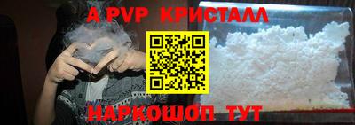 круглые Кингисепп