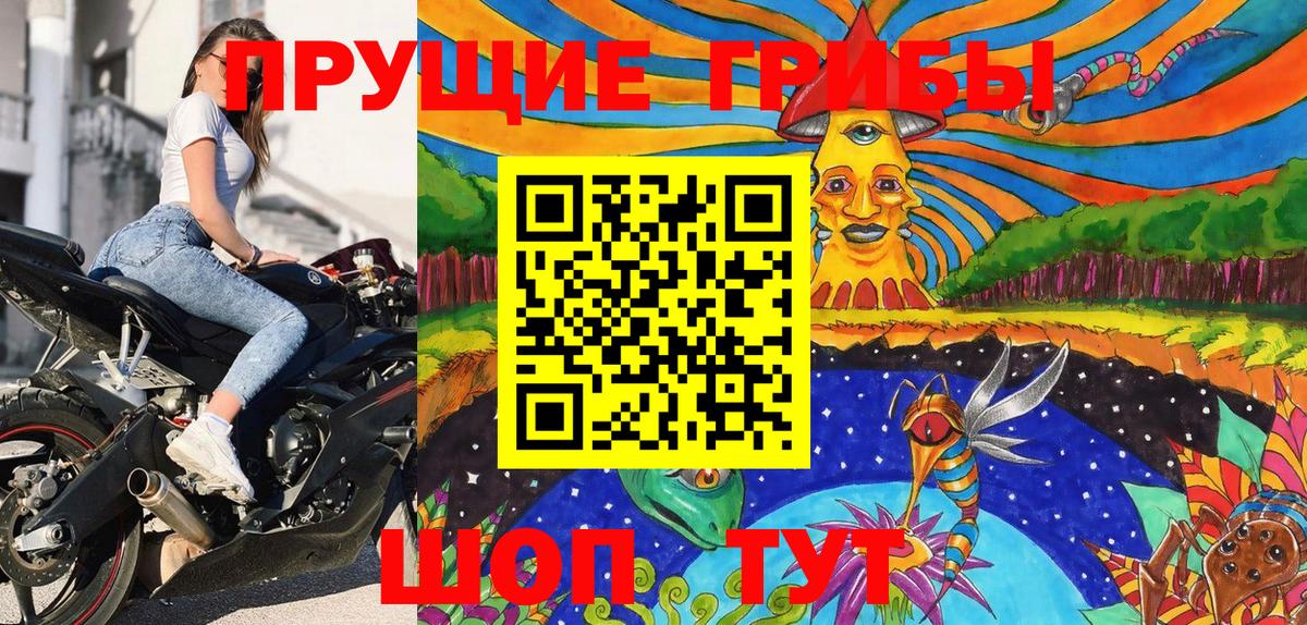 Новоуральск  купить   Вход с VPN  Псилоцибиновые грибы Cubensis 