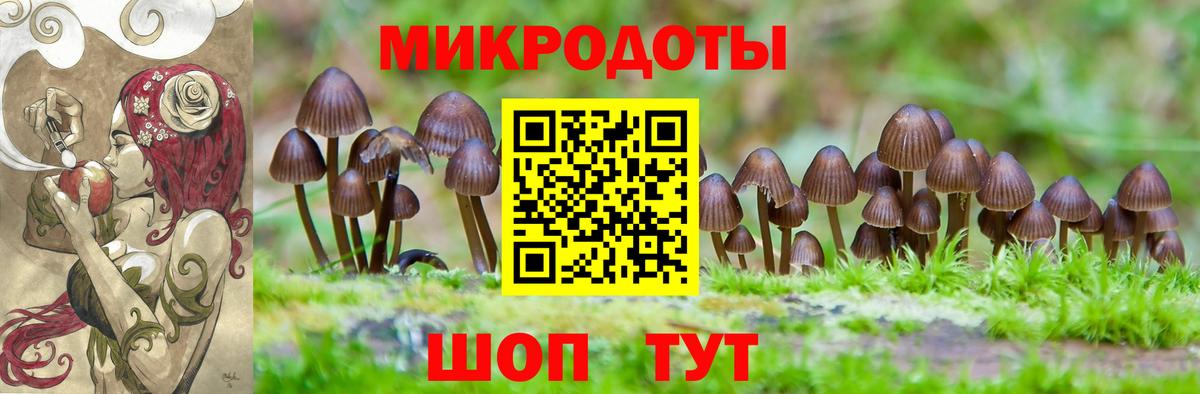 Псилоцибиновые грибы MAGIC MUSHROOMS Новоуральск